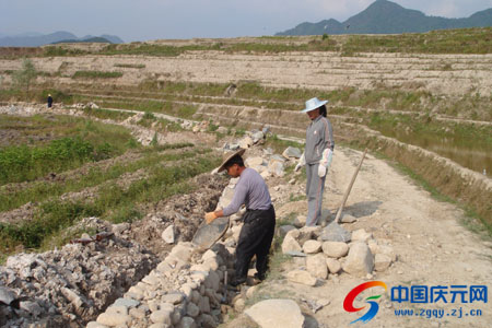 烈日下 他们在工作--中国庆元网