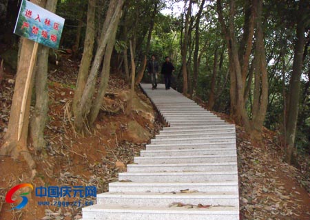 镜山森林公园首期游步道主体工程完工