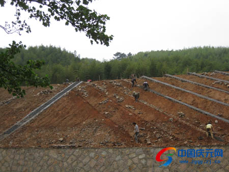 龙庆高速公路庆元段加强边坡防护工程与绿化施