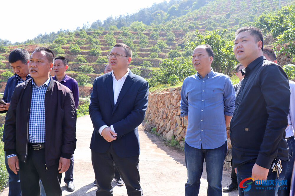 胡献如:高质量打造乡村振兴示范样板