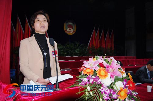 李群芳委员代表县政协教科文卫体委员会的发言